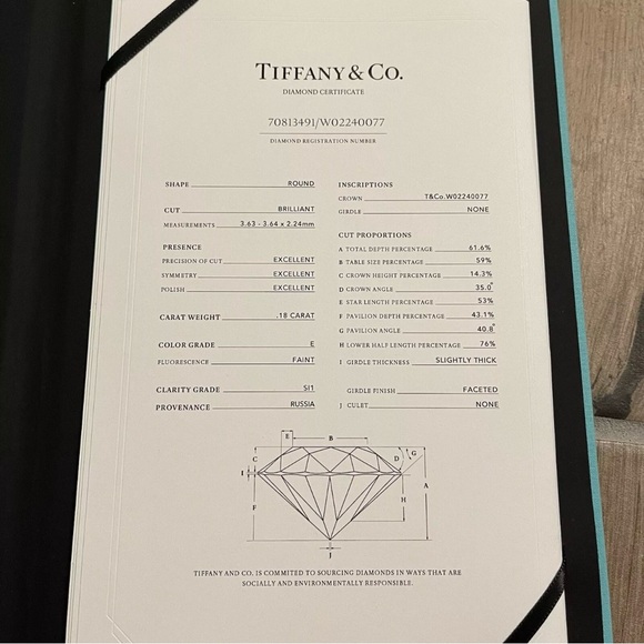 Tiffany & Co Elsa Peretti Diamonds By Yard Platinum Womens Earrings Studs w/ Box - Picture 5 of 7